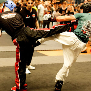 WFMC German Open Haki-Schmiede Kickboxen Turnier 2026