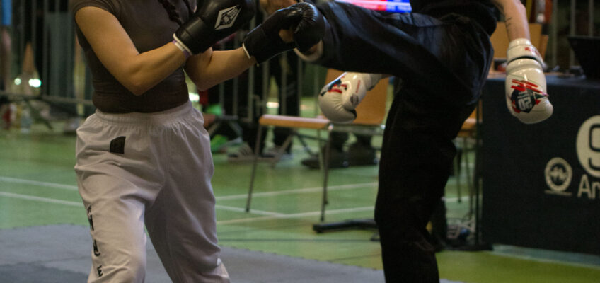 Haki-Schmiede Kickbox Turnier Meckenheim 2026